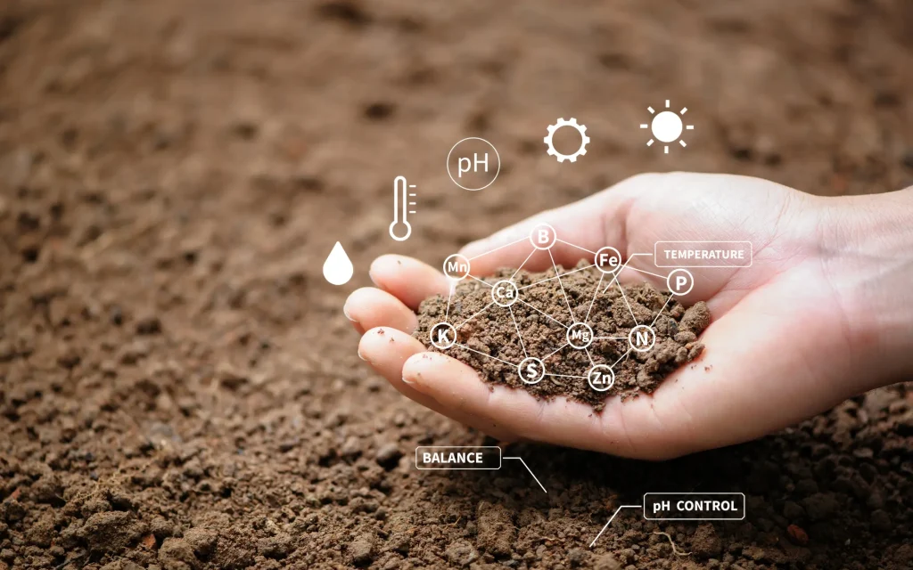 Hand holding soil with digital overlay showing interconnected nutrient elements (Fe, N, P, K, etc